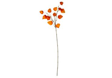 Mākslīgie ziedi ELEMENTS SENSE 2 krāsas 80cm - 2