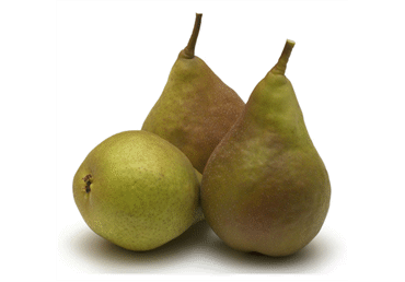 Bumbieri WILLIAMS kg