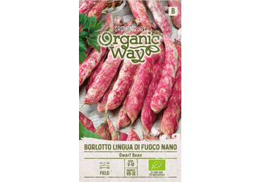 Sēklas: Pupiņas krūmu BORLOTTO LING.gab.