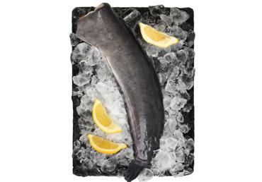 Sams bez galvas ķidāts atdzesēts kg 