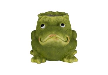 Augu pods ILAJA Lemon Frog 29cm - 1