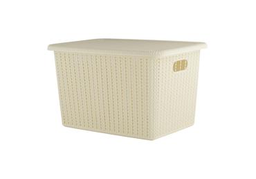 Uzglabāšanas kaste HOME EXPERT 41x27,5x26cm - 1