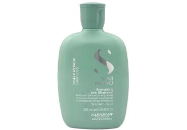 Šampūns ALFAPARF MILANO Energizing 250ml