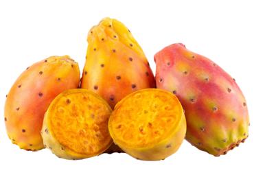 Kaktusvīģes gab. | BARBORA