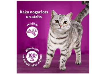 Kaķu barība Chefschoice Tasty WHISKAS 4x85g - 2