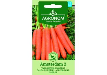 Sēklas: Burkāni galda AMSTERDAMMER 2