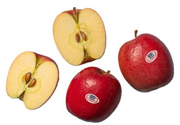 Āboli DOLCE VITA 75+ kg