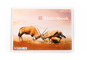 Zīmēšanas albums SHKOLIARIK A4 30 lapas - 2