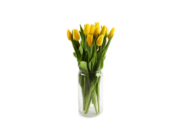 Grieztie ziedi Tulpes 15gab. - 2