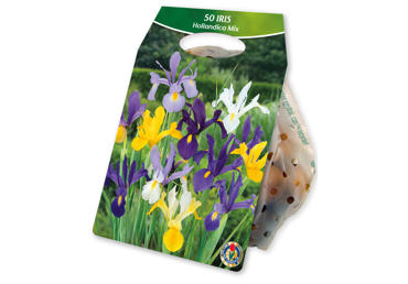 Sīpolpuķes.Īrisi dažādas krāsas 50gb.