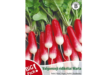 Sēklas: Redīsi WARTA gab.
