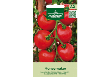 Sēklas: Tomāti MONEYMAKER gab.