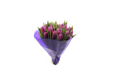 Grieztie ziedi Tulpes 50gab. - 3