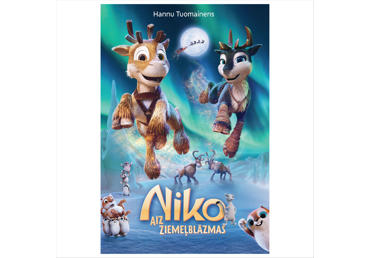 Grāmata. Niko aiz Ziemeļblāzmas