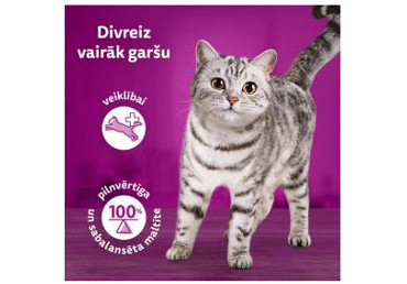 Kaķu barība WHISKAS Pure Delight vista 4x85g - 2