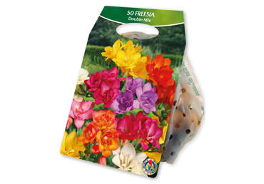 Sīpolpuķes.Frēzijas Double Mix 50gb.