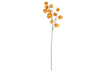 Mākslīgie ziedi ELEMENTS SENSE 2 krāsas 80cm - 1