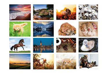 Sienas kalendārs 3daļīgs 8diz.