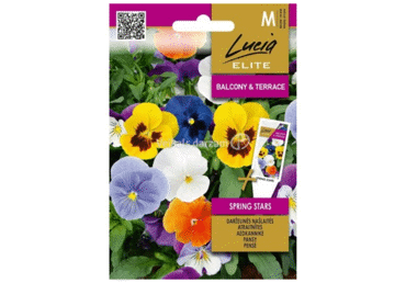 Sēklas: Atraitnītes SPRING STARS gab.