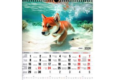 Kalend.A3 Suņu zemūdens piedzīvojumi PL - 2