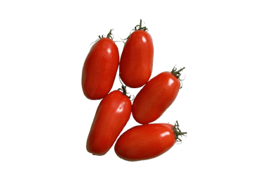 Tomāti plūmju San Marzzano kg - 1