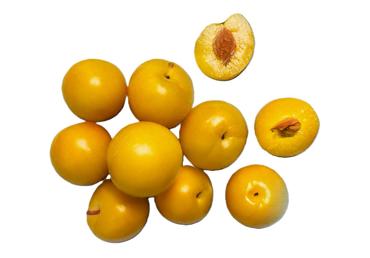 Plūmes dzeltenās kg