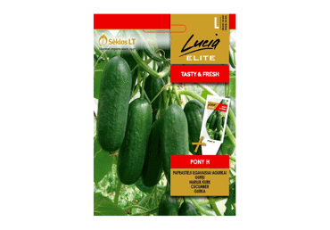 Sēklas: Gurķi īsaugļu PONY H gab.