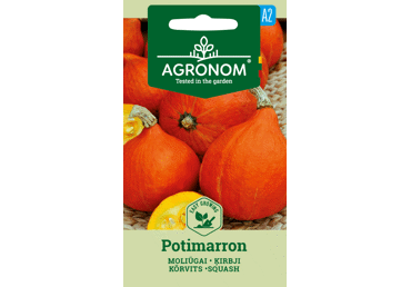 Sēklas: Ķirbji POTIMARRON gab.