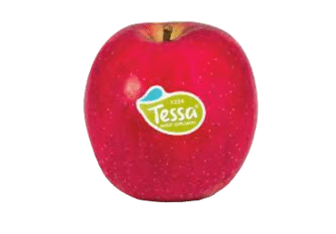 Āboli TESSA 80+ kg - 2