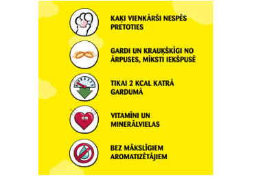 Gardums kaķiem DREAMIES ar lasi 60g - 2