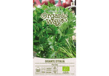 Sēklas: Pētersīļi GIGANTE D'ITALIA gab.