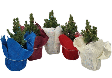 Eglīte ar dekoru D 9cm - 2