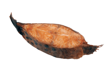 Karsti kūpin.vilkzivs ZIVJU MEISTARS kg - 1