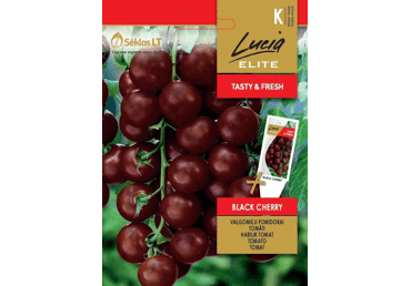 Sēklas: Tomāti BLACK CHERRY gab.