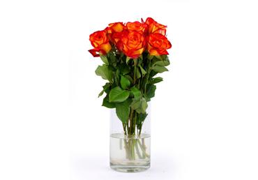 Grieztie ziedi Rozes 9gab. - 1