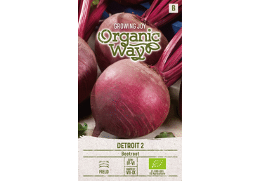 Sēklas: Bietes DETROIT 2 gab.