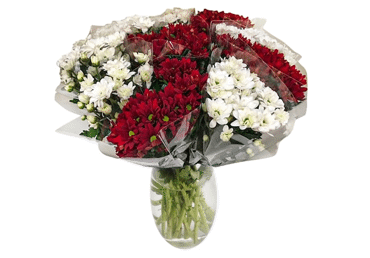 Grieztie ziedi Krizantēmas 5gab. - 1