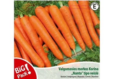 Sēklas: Burkāni KORINA gab.