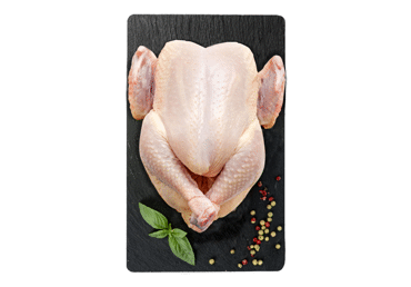 Cālis ĶEKAVA fas. - 2