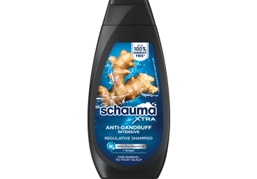 Šampūns SCHAUMA Men Anti-Dandruff 350ml