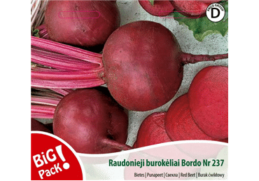 Sēklas: Bietes BORDO237 gab.