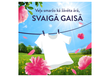 Veļas mīkstinātājs LENOR Pink Blossom 50m.r.700ml - 2