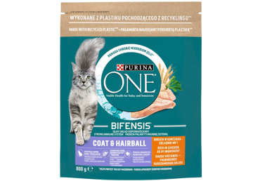 Sausā kaķu barība PURINA ONE vistas 800g