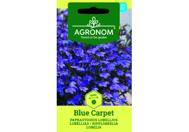Sēklas: Lobēlijas BLUE CARPET gab.