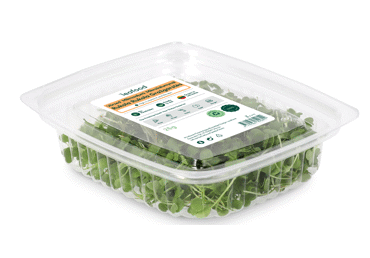 Mikrozaļumi Rukola LEAFOOD