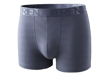 Vīriešu apakšbikses FRIENDS izmērs 52 zilpelēkas 