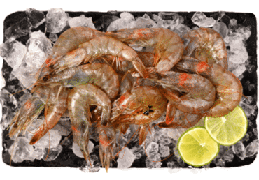 Garneles Vannamei nevārītas atkausētas 70/80 kg  - 1