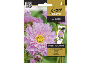 Sēklas.Kosmejas Double Dutch Rose gab.