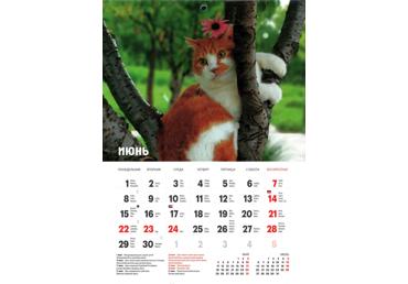 Kalendārs A4 mazais Kaķi LM krievu valodā - 2