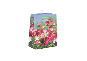 Dāvanu maisiņš vidējs 17.5x23x10 - 2